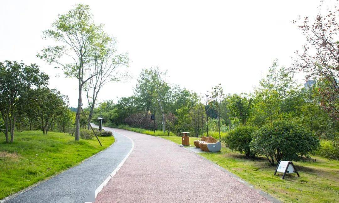 小青龍河溼地公園實拍圖 推窗見綠,開門見景;園外是城,城旁有園.