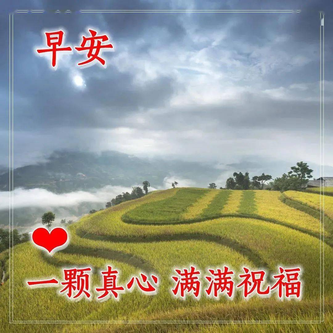 早上好正能量問候語幸福常在好運常來