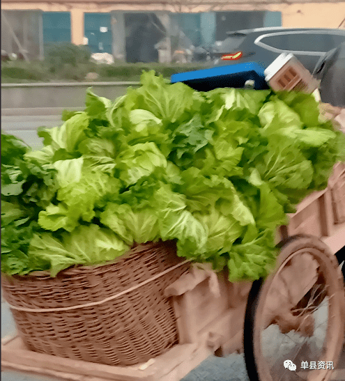 禁止"三小车辆"后的菜农:拉地板车进城卖白菜