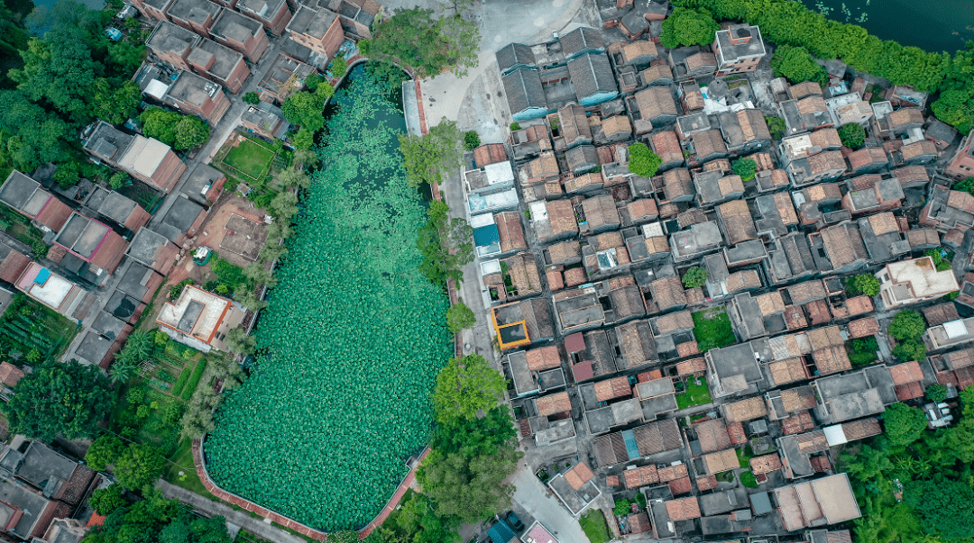 佛山这些最美乡村简直人间仙境