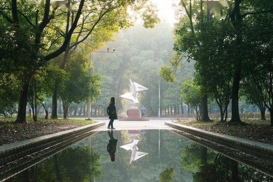 校园摄影大赛|| 探秘"1037号森林" c组"网络投票"