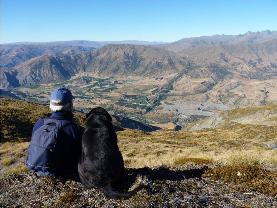 遍览中奥塔哥centralotago山脉湖泊天空与美酒的故乡