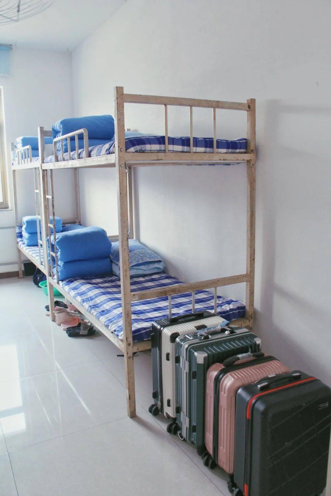 播下一粒种子让尚美之花在寝室绽放