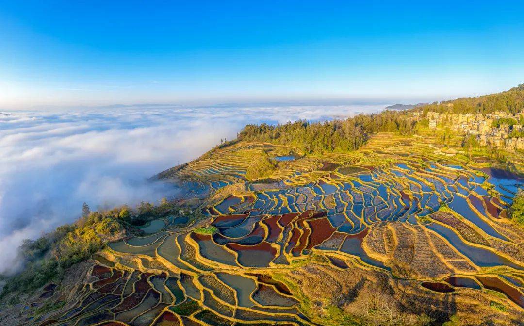 红河哈尼梯田 红河哈尼梯田文化景观于2013年入选世界文化遗产,遍布于