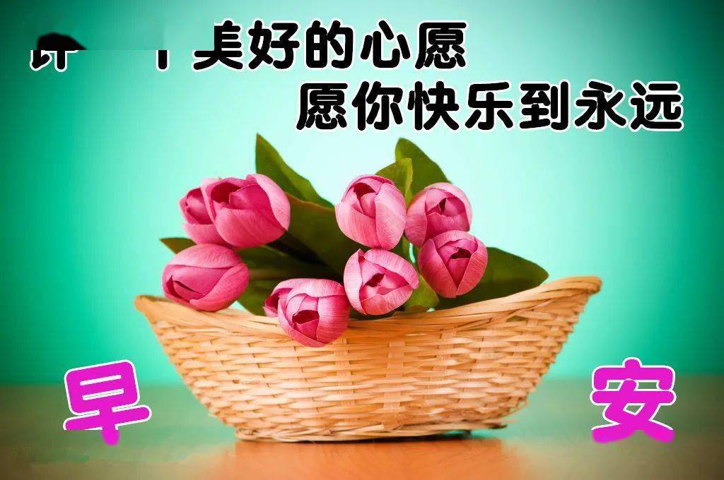 12月2日最漂亮早上好动态表情图片大全,早晨好动图美图大全