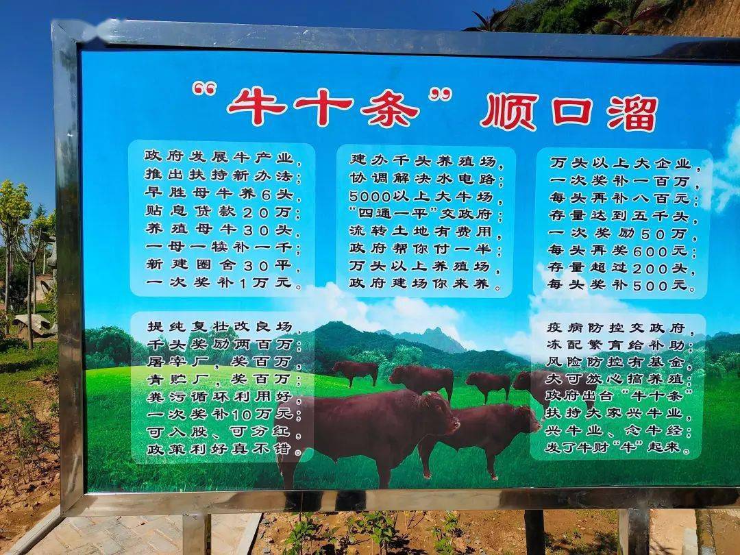 致富经2019年全集养牛视频(致富经养牛视频2019全集视频)
