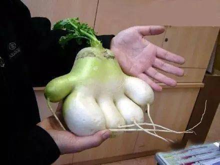 发几张不正经的照片!笑死人,不偿命专治不开心!