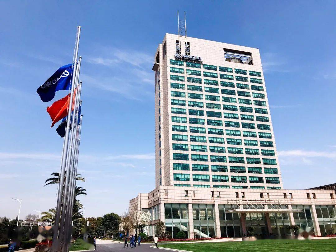 逐浪资本市场 | 宝钢股份荣膺"20年"大奖