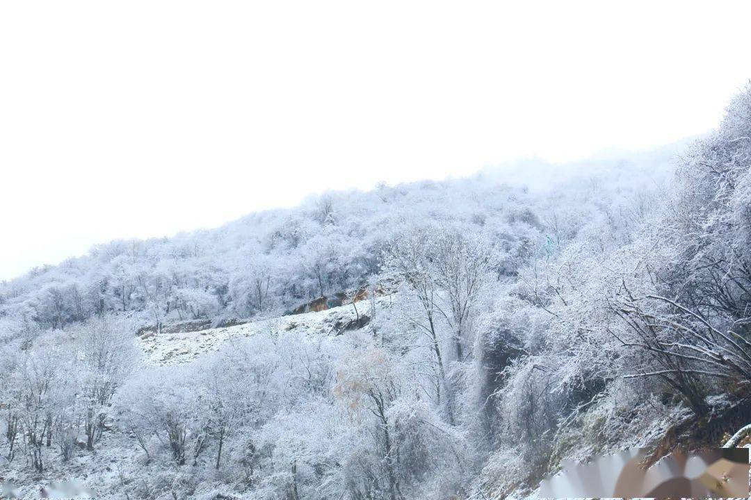 冬季的宝鸡秦岭,绝美!