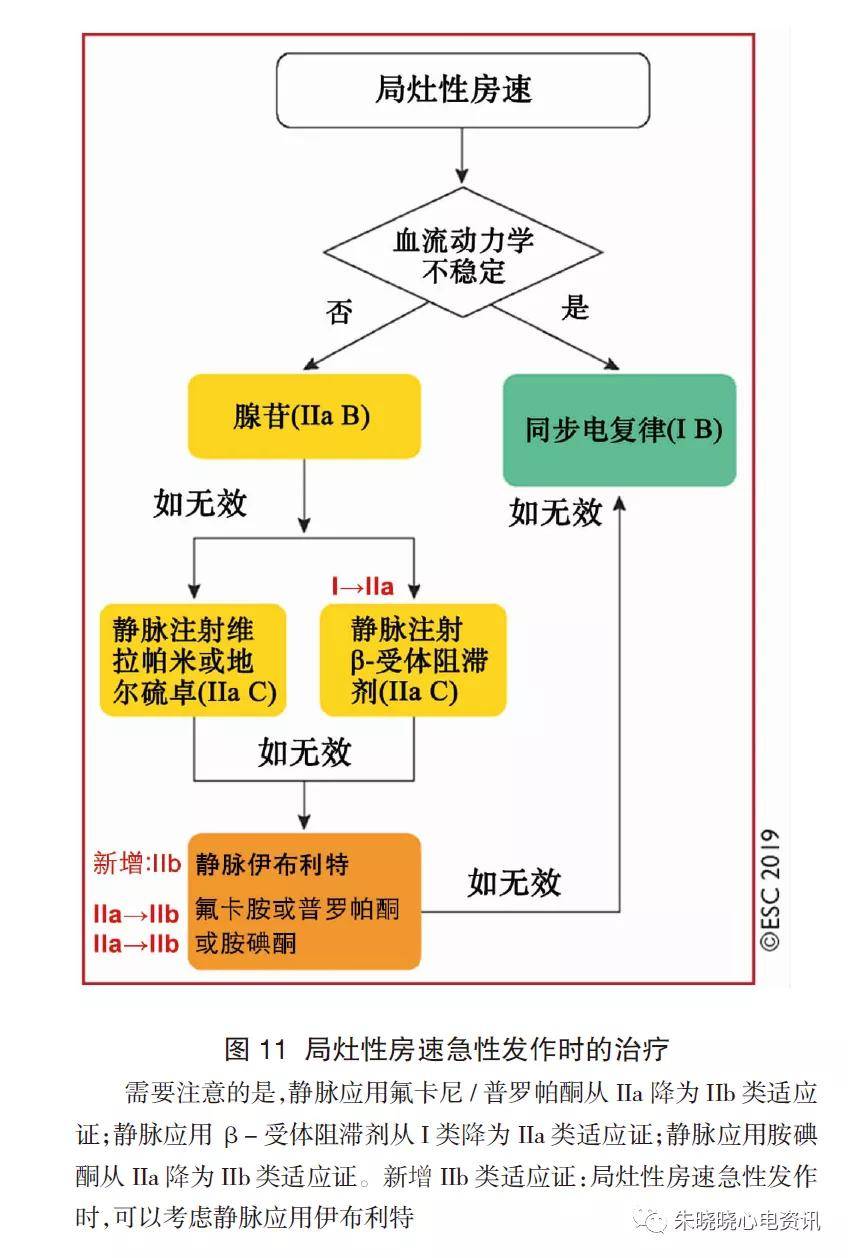 esc 成人室上速管理指南,你掌握了吗?