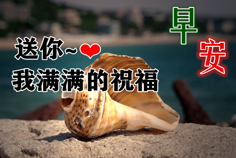 最新版非常漂亮的早上好表情图片 温馨早安心语语录