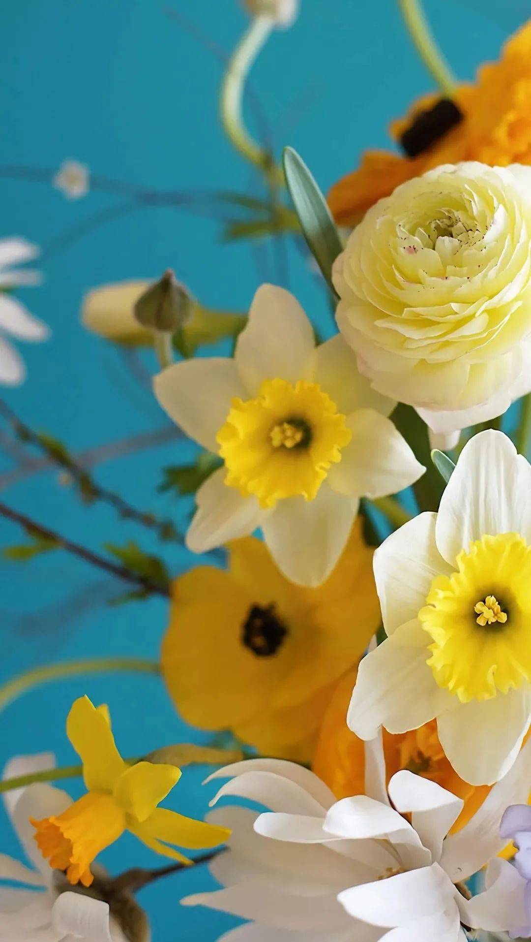 一组巨好看的壁纸请签收