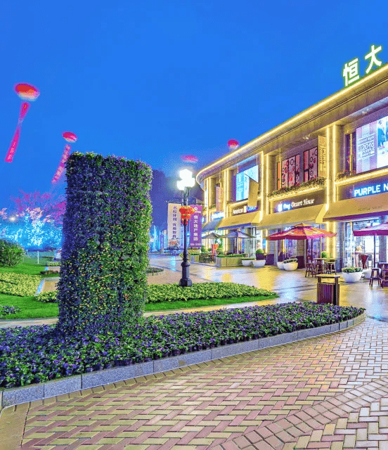 漳州恒大帝景丨总有美好在发声说出你的心声