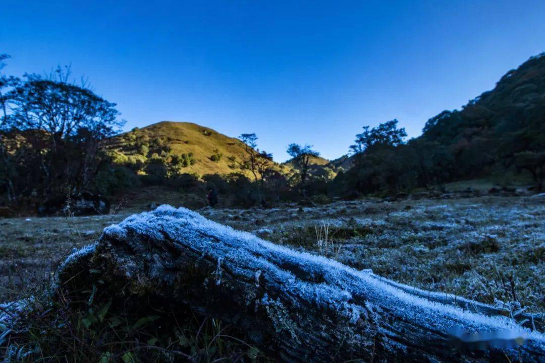 苤菜坝的气候虽然寒冷,但是也正因为严寒,造就了它
