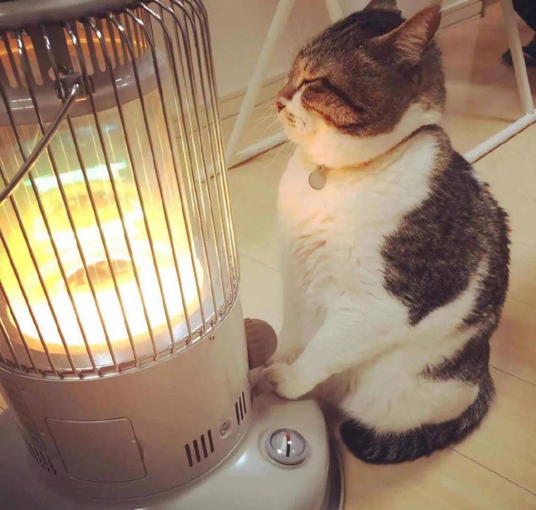 只需要打开你的取暖器就行.