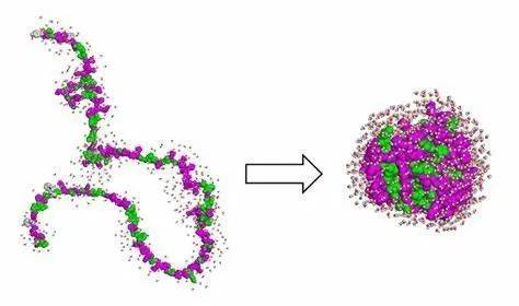 肽链折叠图片