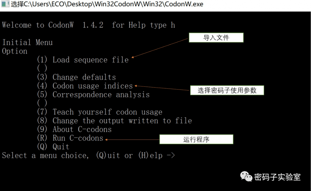 密码子偏好性分析利器—— codonW_文件