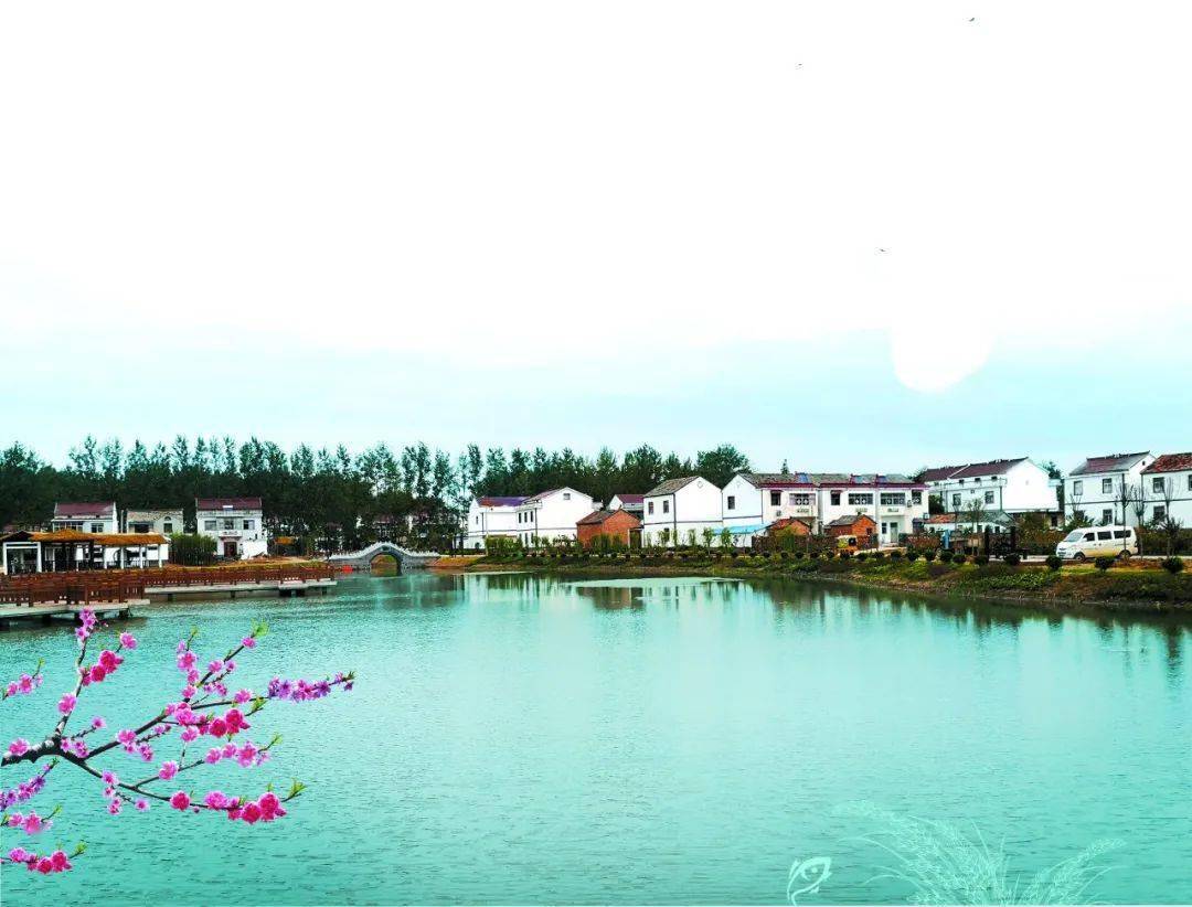 灌南县新民村党旗下的新农村田园梦