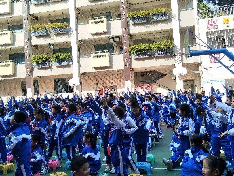 一起来学法!金兰苑小学用这样的方式打开"国家宪法日"