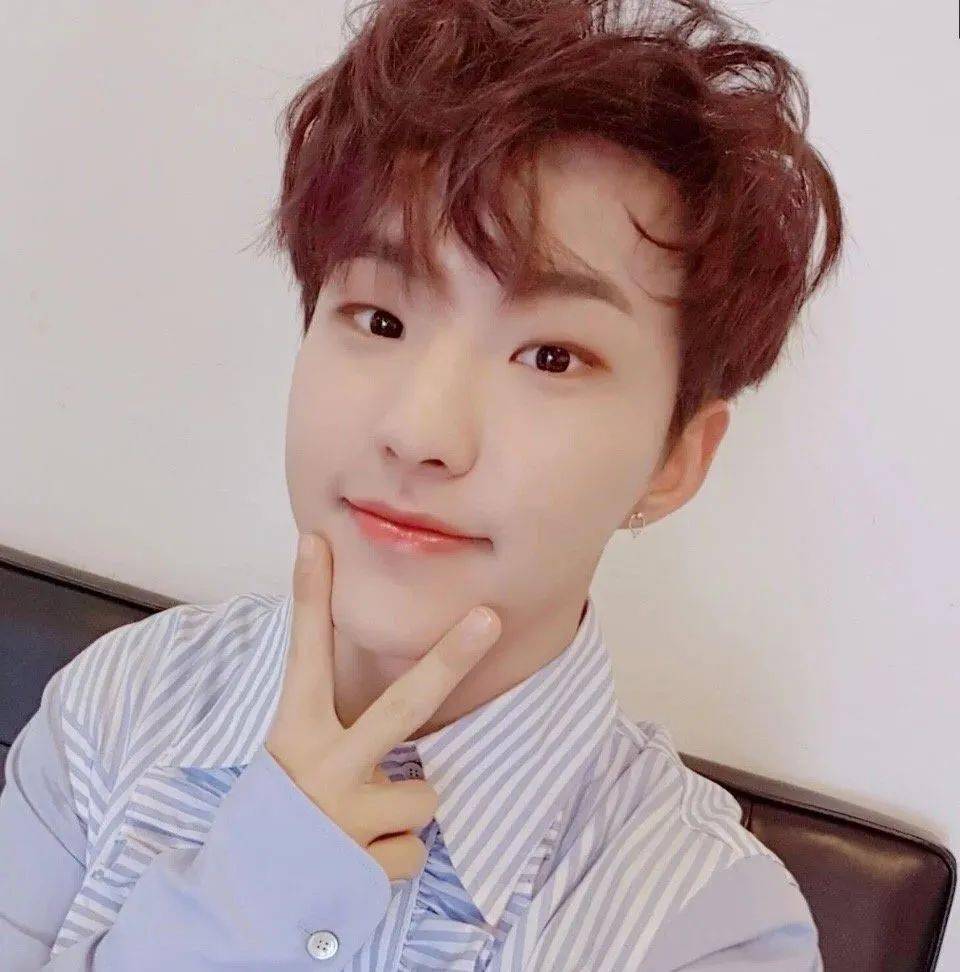 微信头像seventeen权顺荣