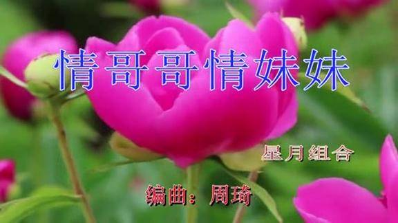 星月组合一首情歌对唱《情哥哥情妹妹》甜甜蜜蜜好听极了!