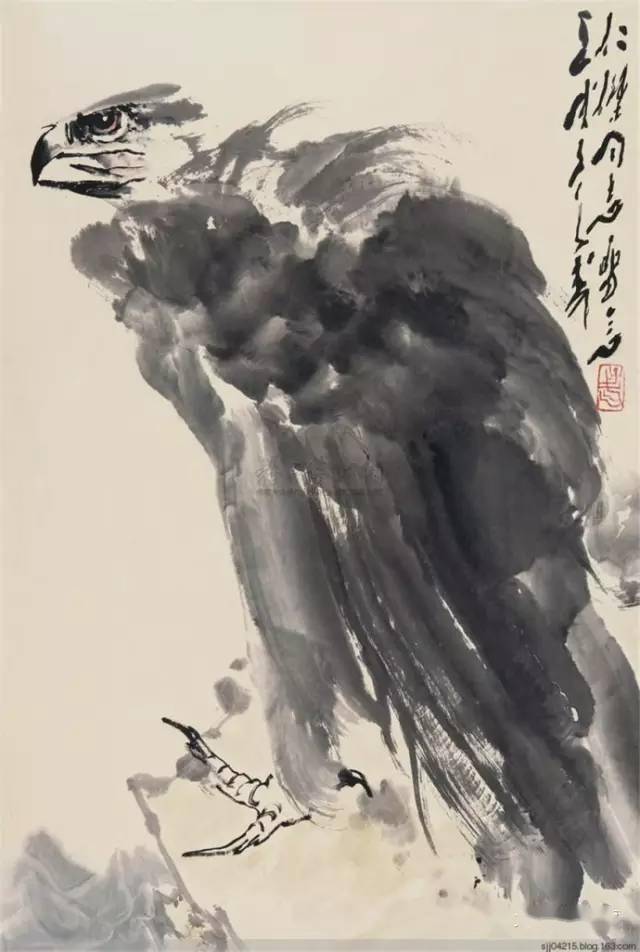 王子武画鹰_手机搜狐网