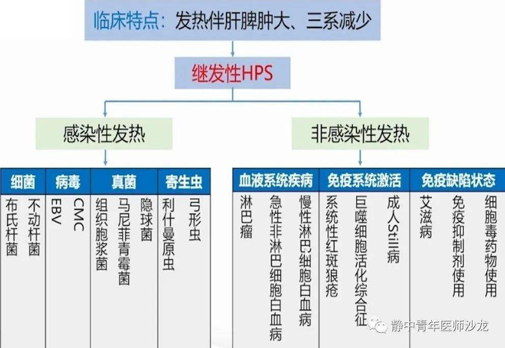 每周小知识继发性噬血细胞综合征hps临床分析思路