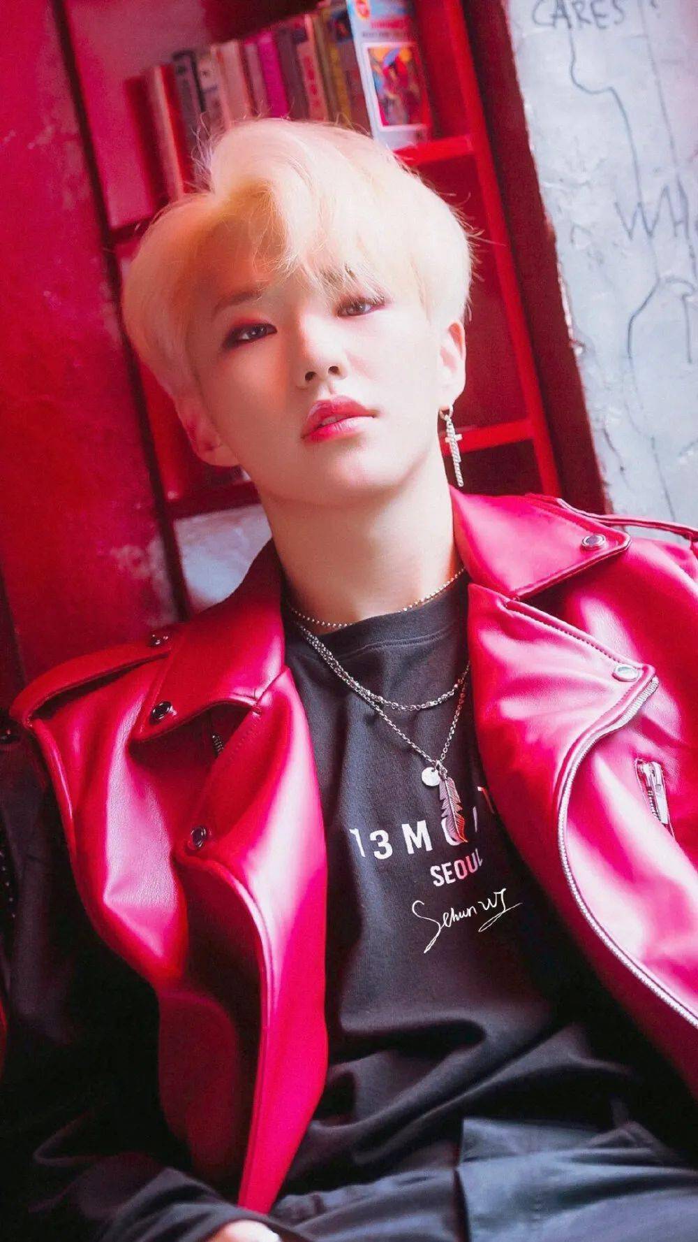 手机壁纸seventeen权顺荣