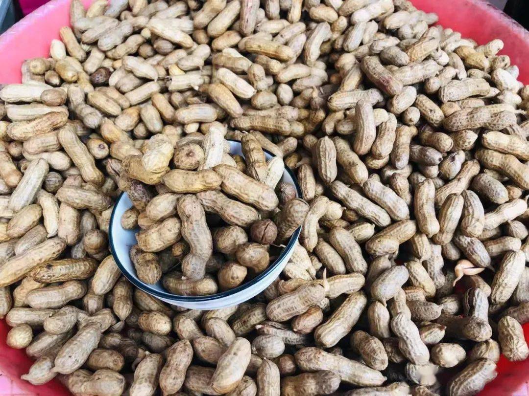 好幸福~~~握着暖暖的烧包谷靠近火盆这个"小摊位"是满满的回忆呀尤其