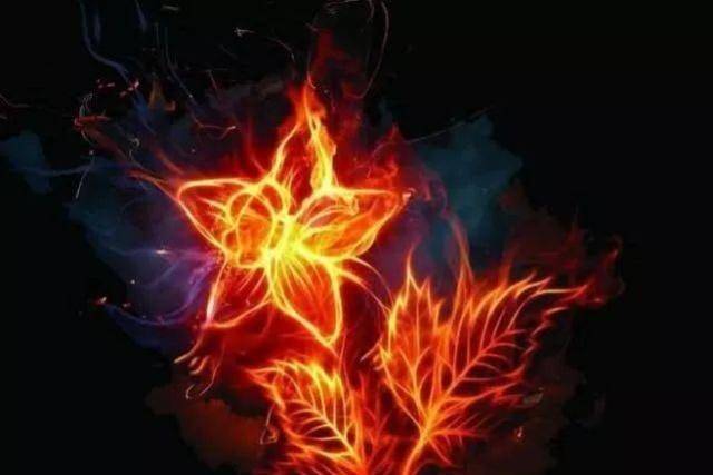 心理测试静下心选一朵火之花测你是一个浮躁的人吗