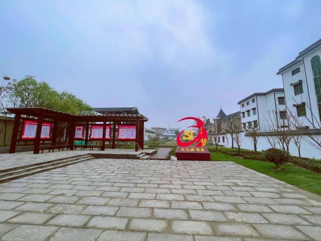 开门一件事比学晾晒义蓬街道村社党组织开门一件事案例展播五