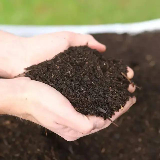 利用厨余垃圾造出肥沃疏松的土壤