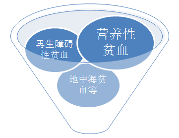 合理飲食告別缺鐵性貧血