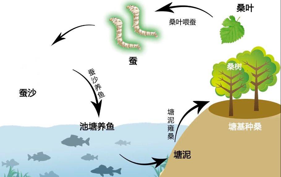 九百年水利工程奇迹 有它才有桑基鱼塘