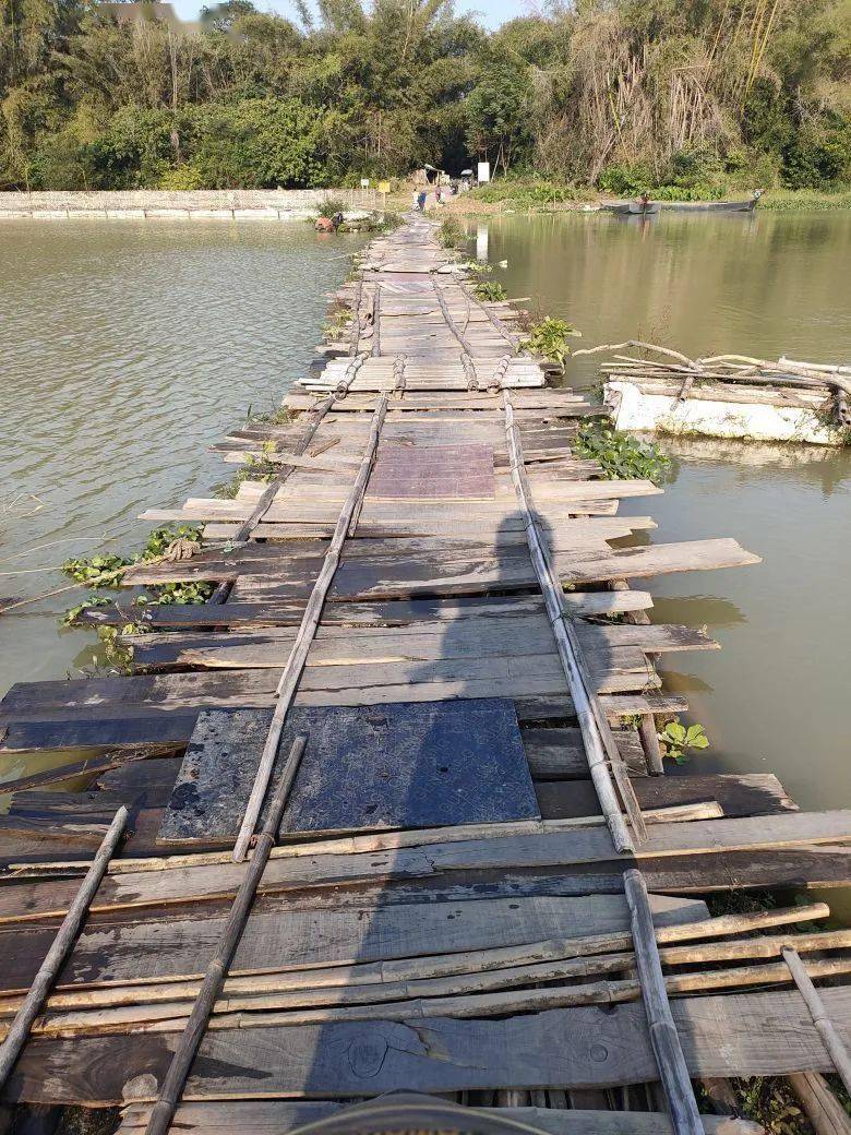 钦江久隆竟有一座木板渡江浮桥,村民自发维护,但车轮压过的声音让人