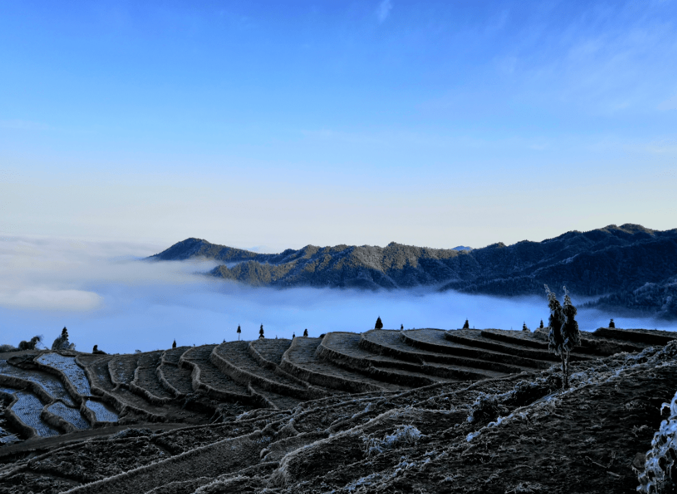 山背花瑶梯田星空云舍图片