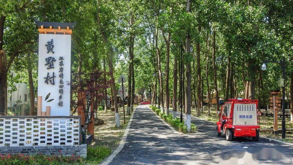 来临湖,一路好风光_临湖镇