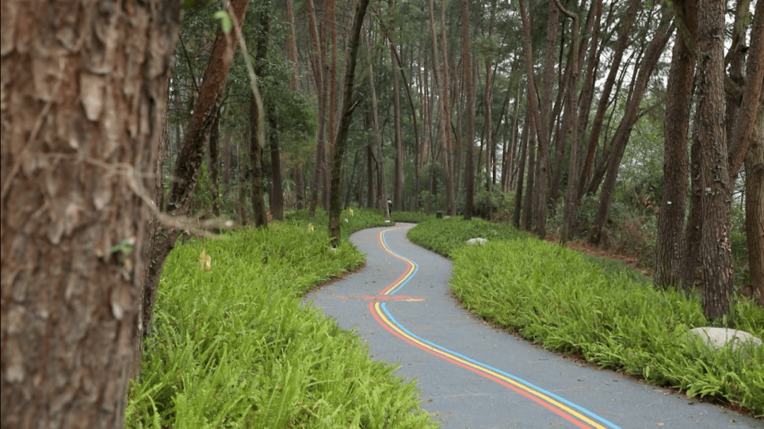 沭埠岭一路绿带公园图片