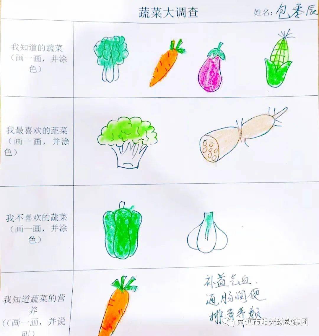多彩的蔬菜主题网络图图片