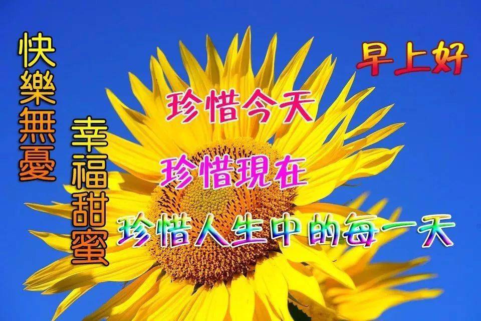 周五非常漂亮的清晨早上好表情祝福语动态图片早上好温馨问候图片