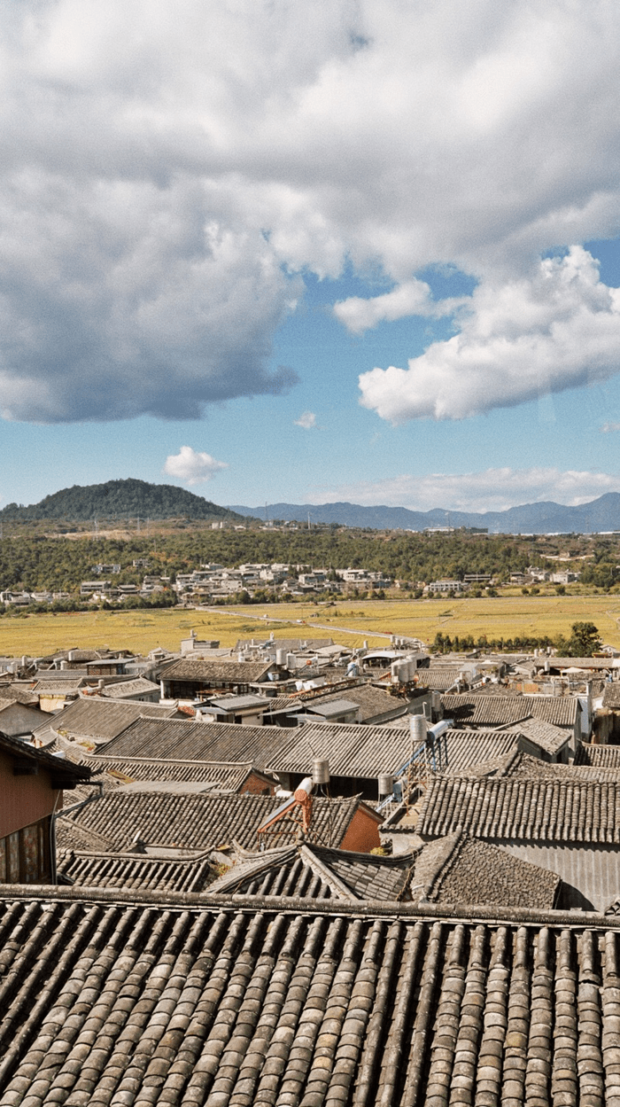 打卡最美银杏村,逛边陲小镇…这处"极边第一城"要火了_手机搜狐网