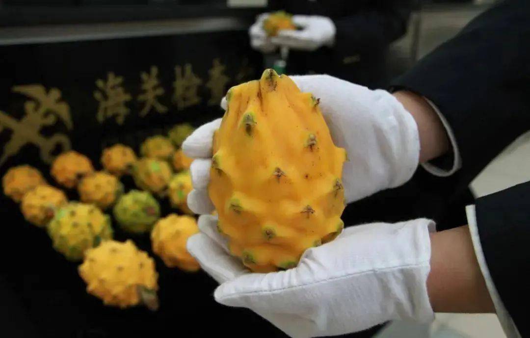 斗门人过澳门这些旅客注意今后从拱北口岸通关这走