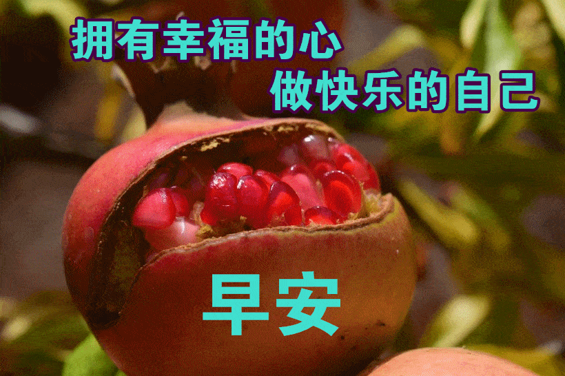 早上好问候美图,早安问候语句.