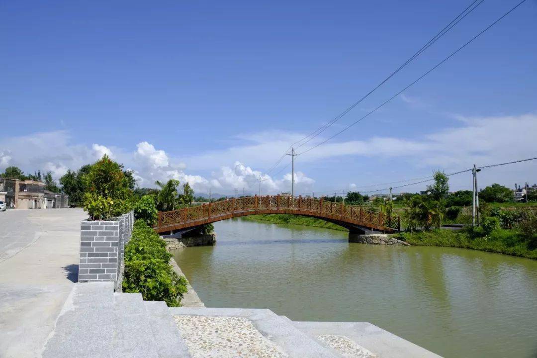 菩提古树公园位于台山市广海镇靖安村龙岗村,龙岗村是江门市级非物质