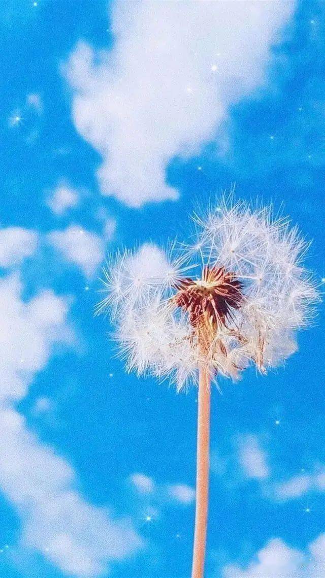 干净又温柔的小句子治愈心灵瞬间好心情