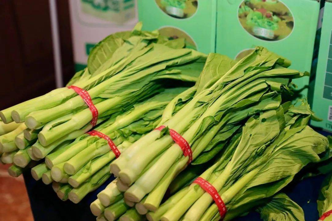 你知道全世界最贵的蔬菜是什么吗盘点世界十大顶级蔬菜