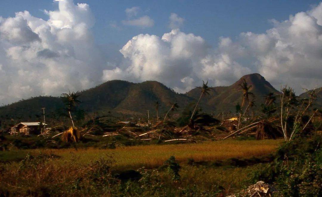 1989年,台风"盖伊"席卷了西太平洋的泰国湾,泰国南部狭长地带全部遭灾