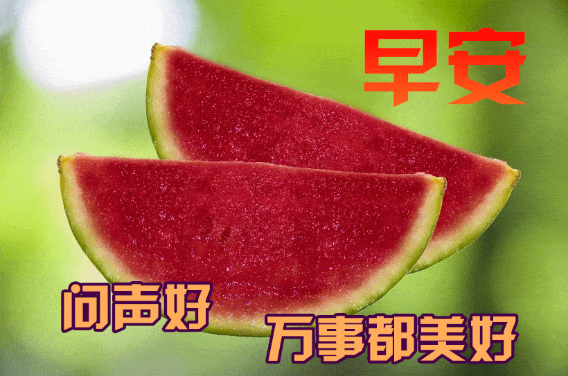 12月11日最漂亮早上好动态表情图片大全,早晨好动图美图大全