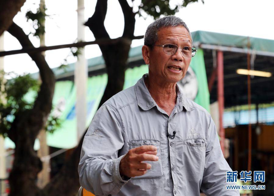 香港"树医生"李国文:治愈树,被树治愈