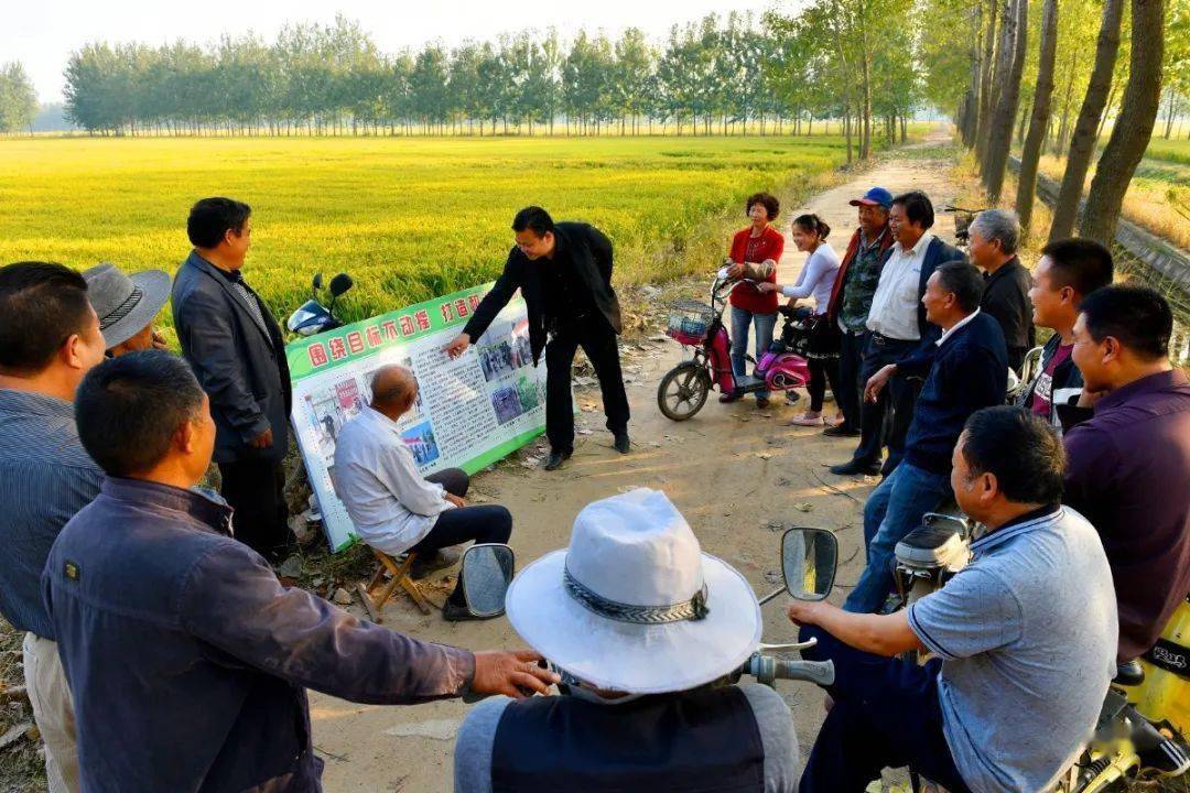 文明乡村——新沂市马陵山镇高原村